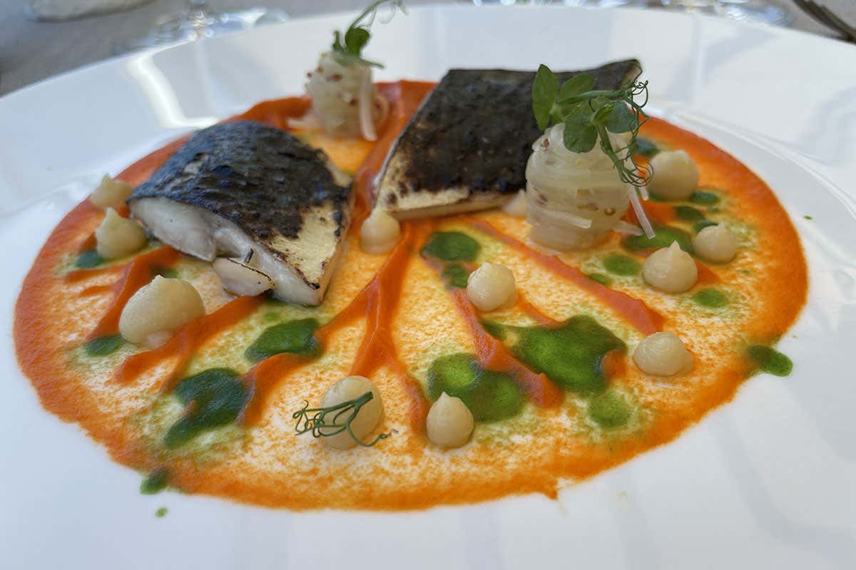 Sgombro scottato, sedano fermentato, purea di carote e salicornia