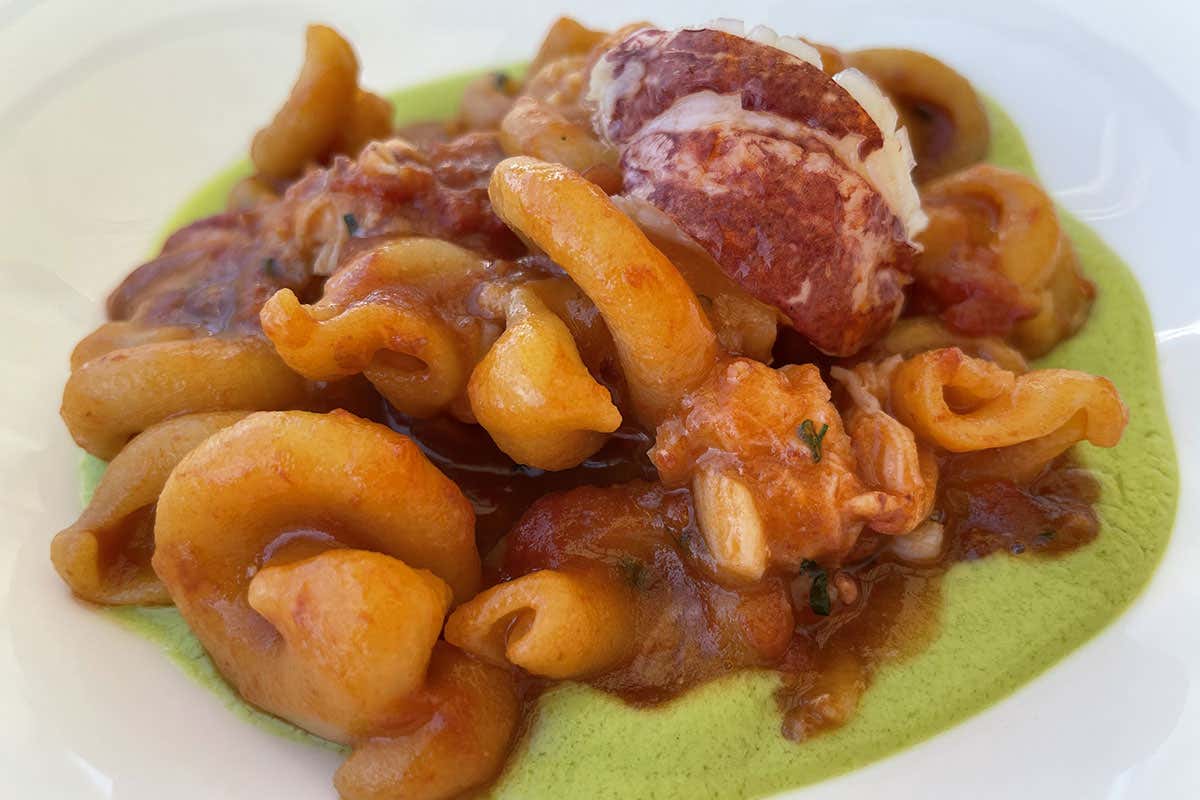 Riccioli al pomodoro, crema di zucchine e astice blu