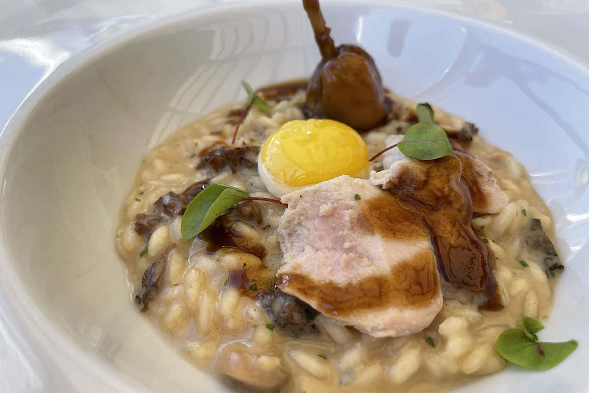 Risotto con spungole, quaglia scomposta col suo uovo, servito con una salsa di Parmigiano Reggiano stravecchio