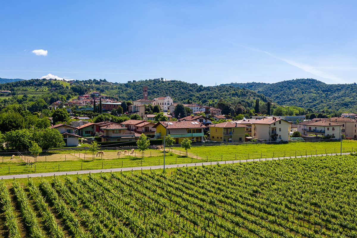 Arte e cultura ambasciatori del territorio del vino Valcalepio