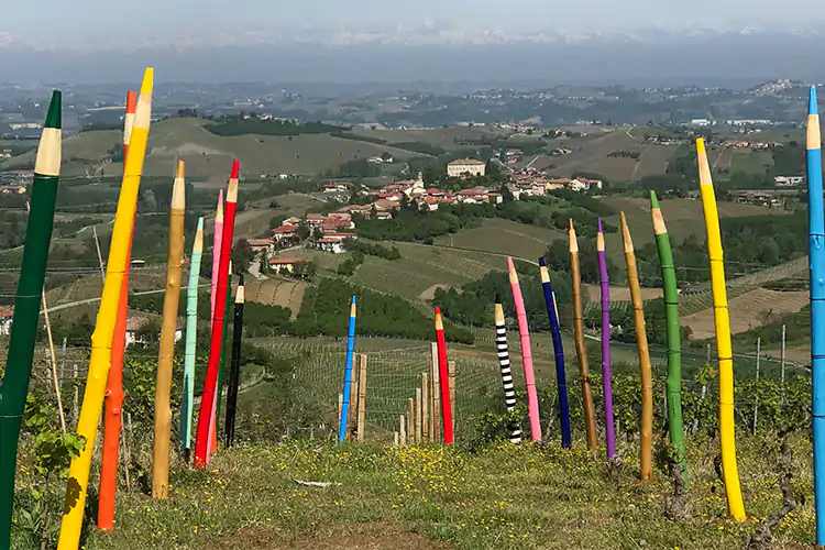 Arte e vino s&rsquo;incontrano nelle terre dell&rsquo;uva Moscato