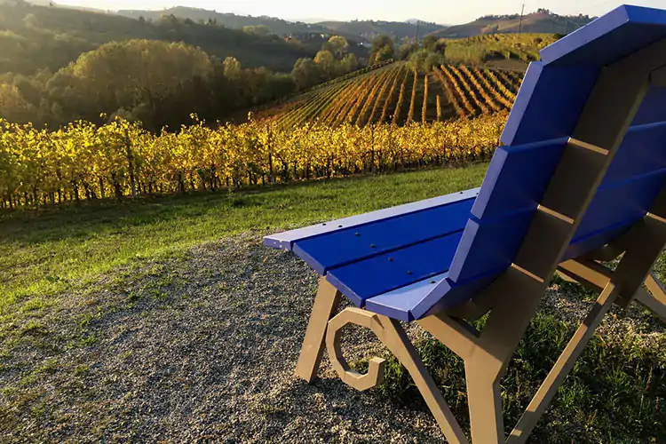 Arte e vino s&rsquo;incontrano nelle terre dell&rsquo;uva Moscato