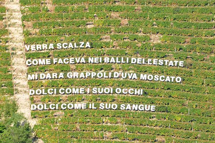 Arte e vino s&rsquo;incontrano nelle terre dell&rsquo;uva Moscato
