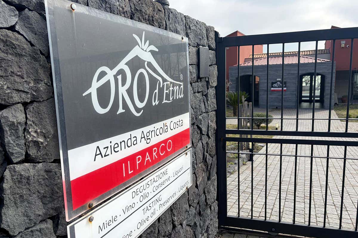 Oro d’Etna presenta i nuovi spumanti 2024: un orange e tre metodo classico