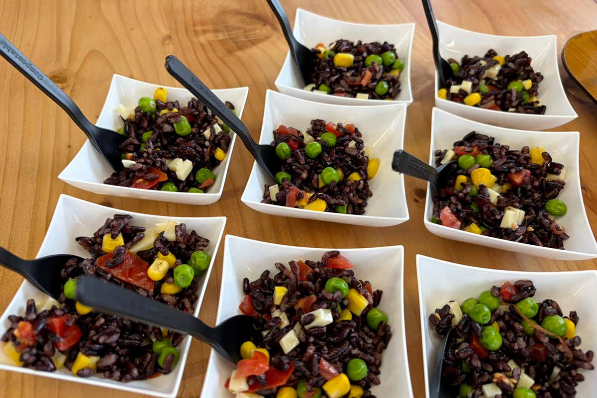 Oro d’Etna presenta i nuovi spumanti 2024: un orange e tre metodo classico