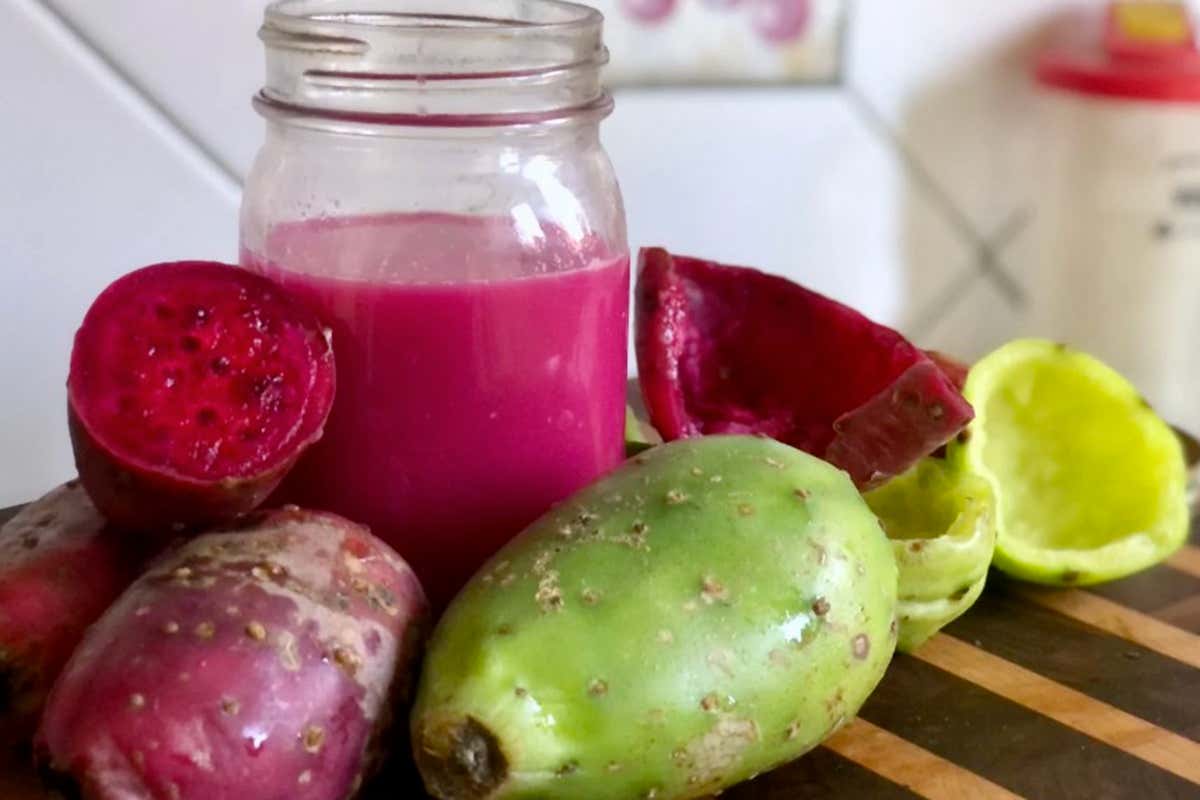 Ha lasciato tutto per vivere a Filicudi senza corrente: la storia di Gisbert Lippelt