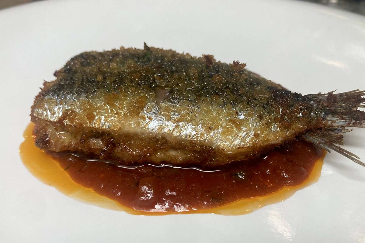 Il ristorante dove mangiare buon pesce e farsi “Quattro Calici” a Messina Il ristorante dove mangiare buon pesce e farsi “Quattro Calici” a Messina