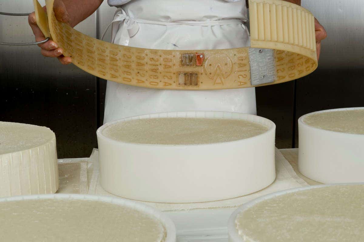 Consorzio Tutela Formaggio Asiago punta sulla formazione del Consorzio Tutela Formaggio Asiago punta sulla formazione del