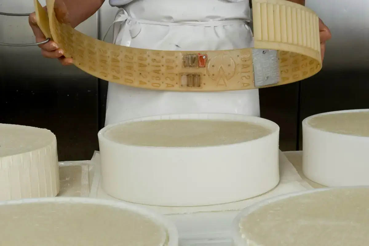 Consorzio Tutela Formaggio Asiago punta sulla formazione del