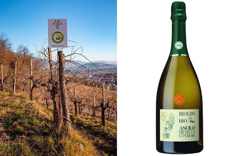 La bottiglia di Extra Dry - Asolo Prosecco Superiore Docg Val d'Oca bio e vegan da aperitivo La bottiglia di Extra Dry - Asolo Prosecco Superiore Docg Val d'Oca bio e vegan da aperitivo