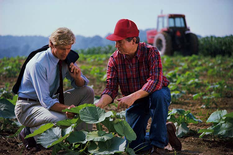 Sempre pi&ugrave; agricoltori in Lombardia si tutelano (Assicurarsi dal maltempo Polizze ad hoc in Lombardia)