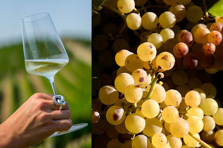 Asti Spumante e Moscato d&rsquo;Asti A Pasqua brindisi made in Italy