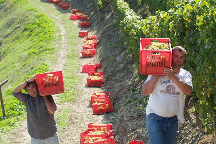 Asti Spumante e Moscato d&rsquo;Asti A Pasqua brindisi made in Italy