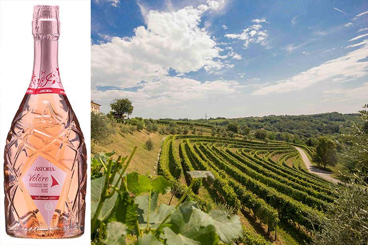 Astoria, passione per il rosé Molto apprezzato il Velére