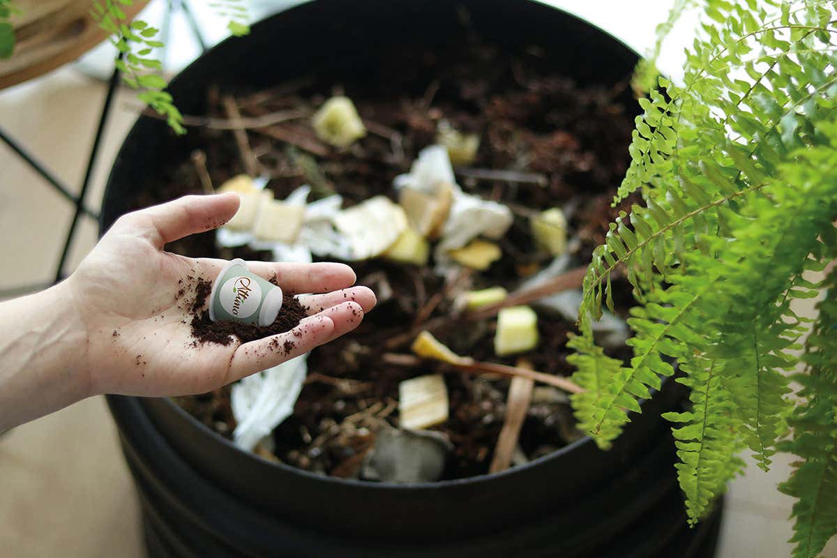 Attimo Caffè, ecco le capsule sostenibili Attimo Caffè, ecco le capsule sostenibili