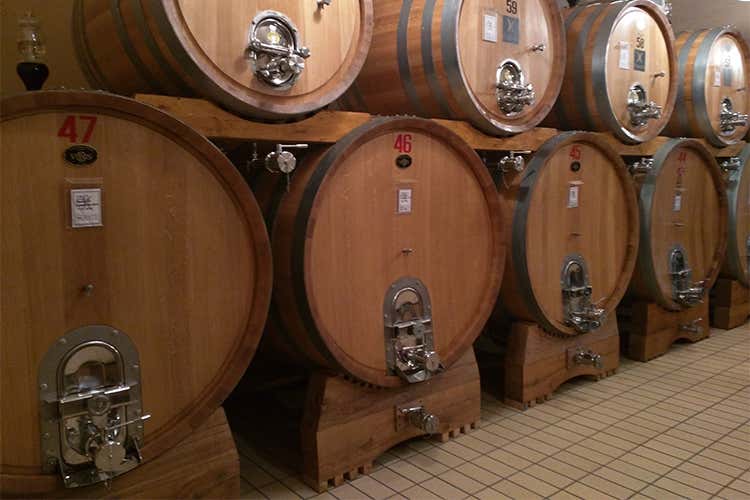 Attivit&agrave; del Consorzio e lavoro in vigna  valorizzano il Montefalco e il territorio