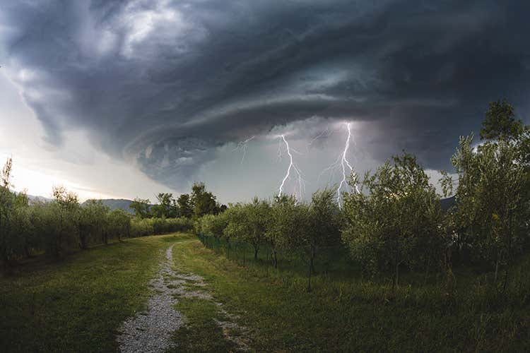 A rischio i redditi agricoli per i danni causati soprattutto dalla grandine, dalla siccità e dalle bombe d'acqua - Aumenta la richiesta di polizze contro i danni da maltempo A rischio i redditi agricoli per i danni causati soprattutto dalla grandine, dalla siccità e dalle bombe d'acqua - Aumenta la richiesta di polizze contro i danni da maltempo