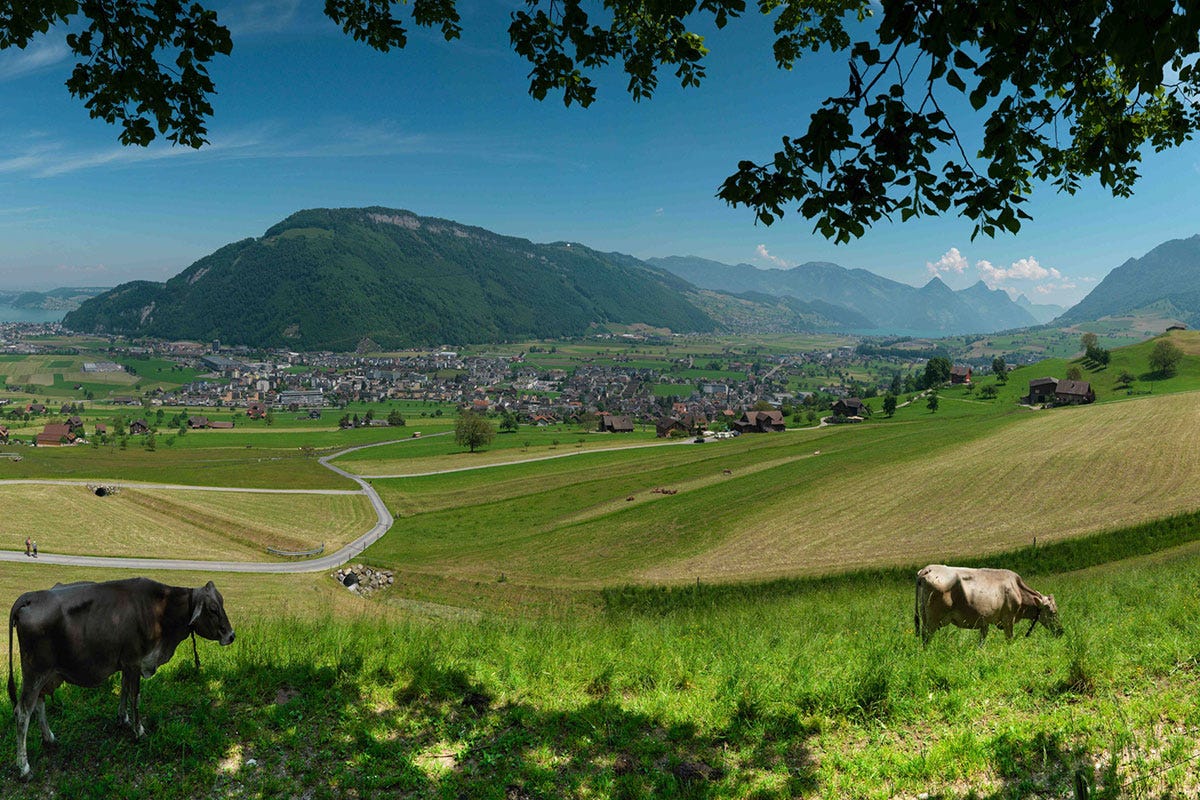 Pasaggi a perdita d'occhio per ogni tipo di escursione Swisstainable, turismo sostenibile Una Svizzera tutta da scoprire