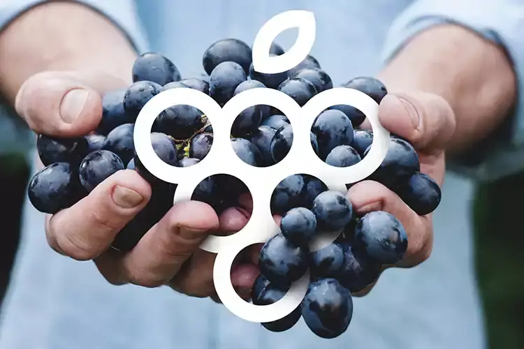 Autochtona 2021 giunge alla 18&ordf; edizione Autochtona torna a Bolzano La biodiversit&agrave; in primo piano
