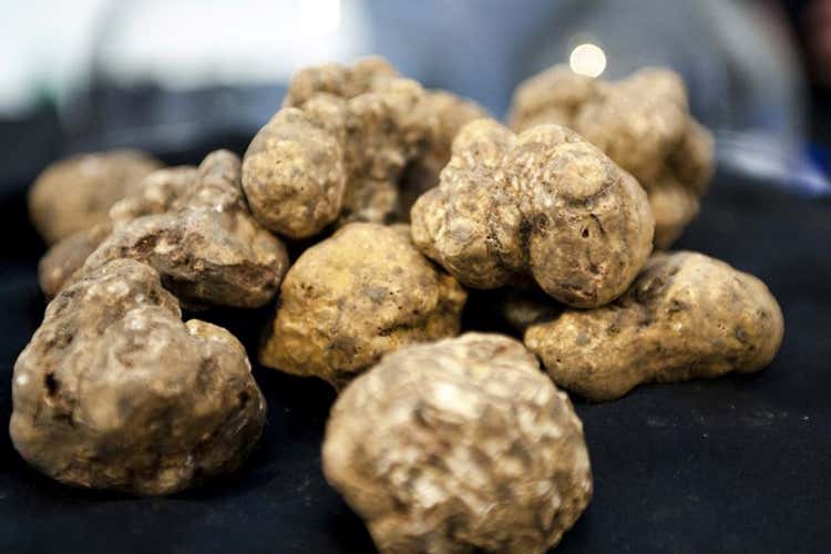 Il tartufo &egrave; un prodotto tipico anche della regione istriana (Autunno in Istria tra vino, tartufo e tipicit&agrave;)