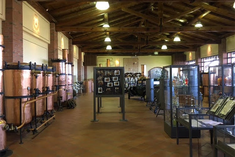 Avanguardia, passione e qualità I valori di Distillerie Berta dal 1866