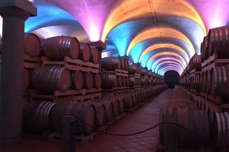 Avanguardia, passione e qualit&agrave; I valori di Distillerie Berta dal 1866