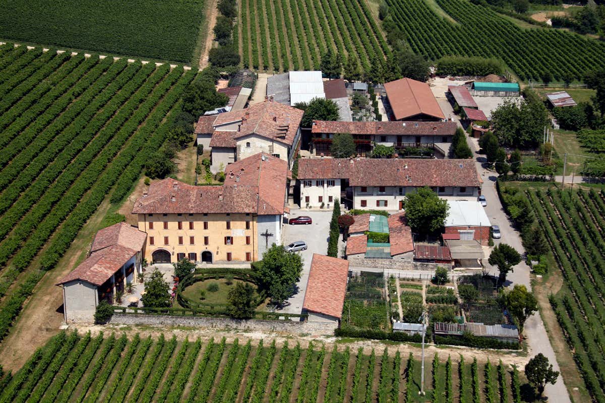 Valcalepio: il vino che conquista i palati anche d’autunno Valcalepio: il vino che conquista i palati anche d’autunno