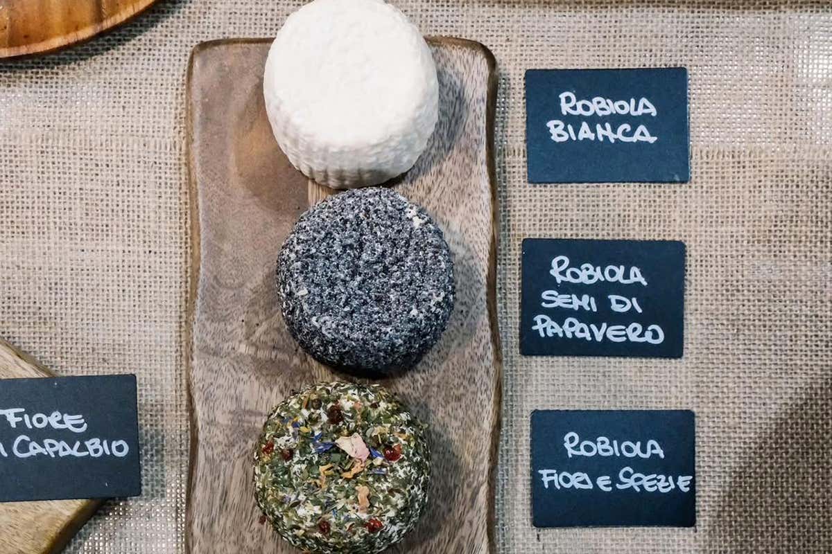 B2Cheese torna a Bergamo con due giorni dedicati alla filiera lattiero-casearia