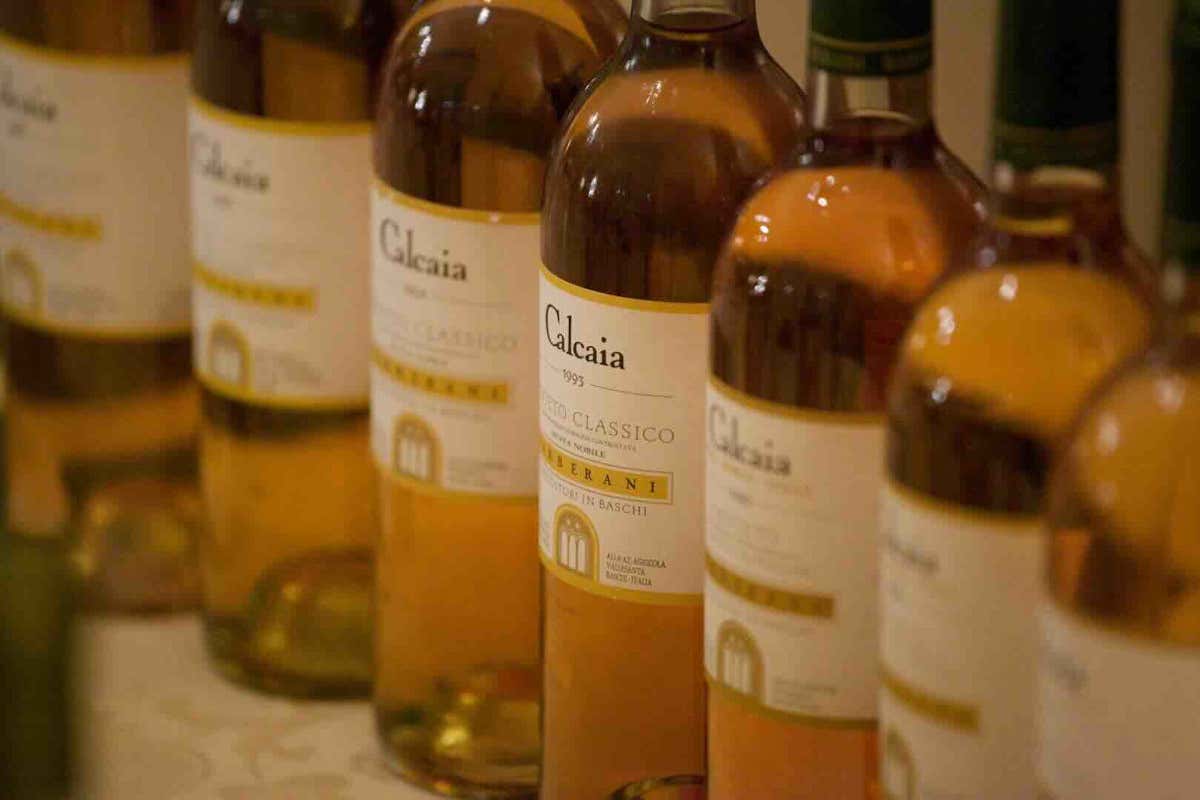 Calcaia, uno dei vini simbolo della Cantina Barberani Addio a Luigi Antonio Barberani il pioniere che credette nella muffa nobile di Orvieto Calcaia, uno dei vini simbolo della Cantina Barberani Addio a Luigi Antonio Barberani il pioniere che credette nella muffa nobile di Orvieto