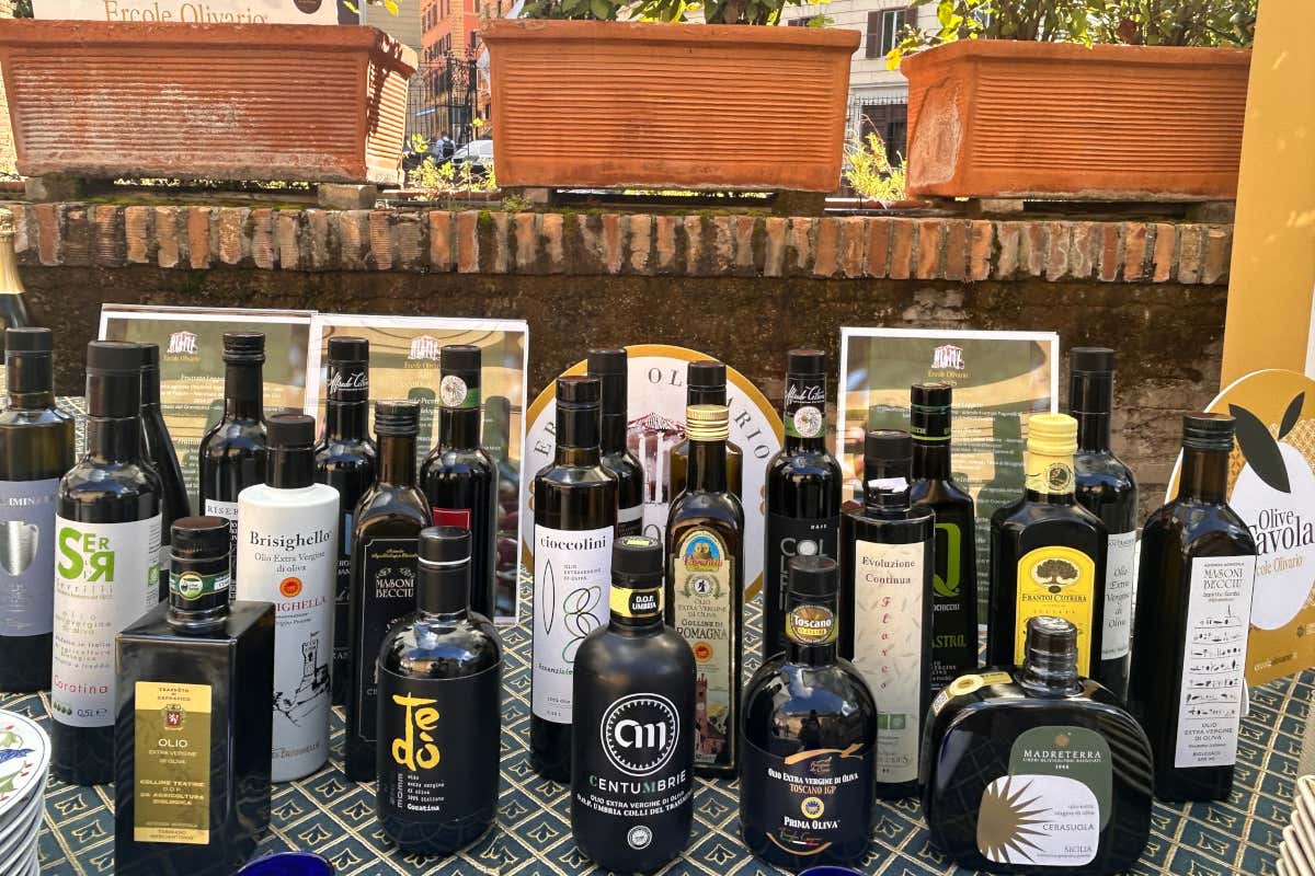 Oleoturismo e cucina: l’olio evo protagonista all’Ercole Olivario 2026 Oleoturismo e cucina: l’olio evo protagonista all’Ercole Olivario 2026