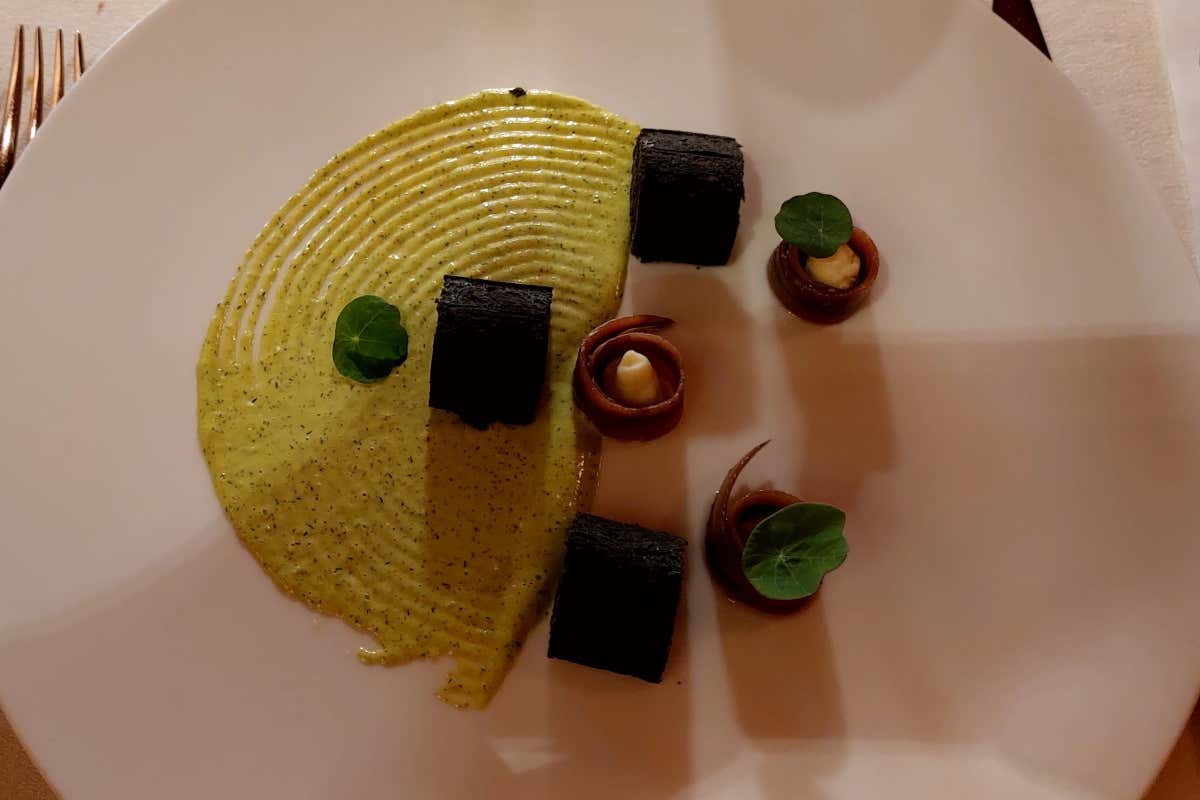 Cantina Santa Sofia, un viaggio nella storia del vino