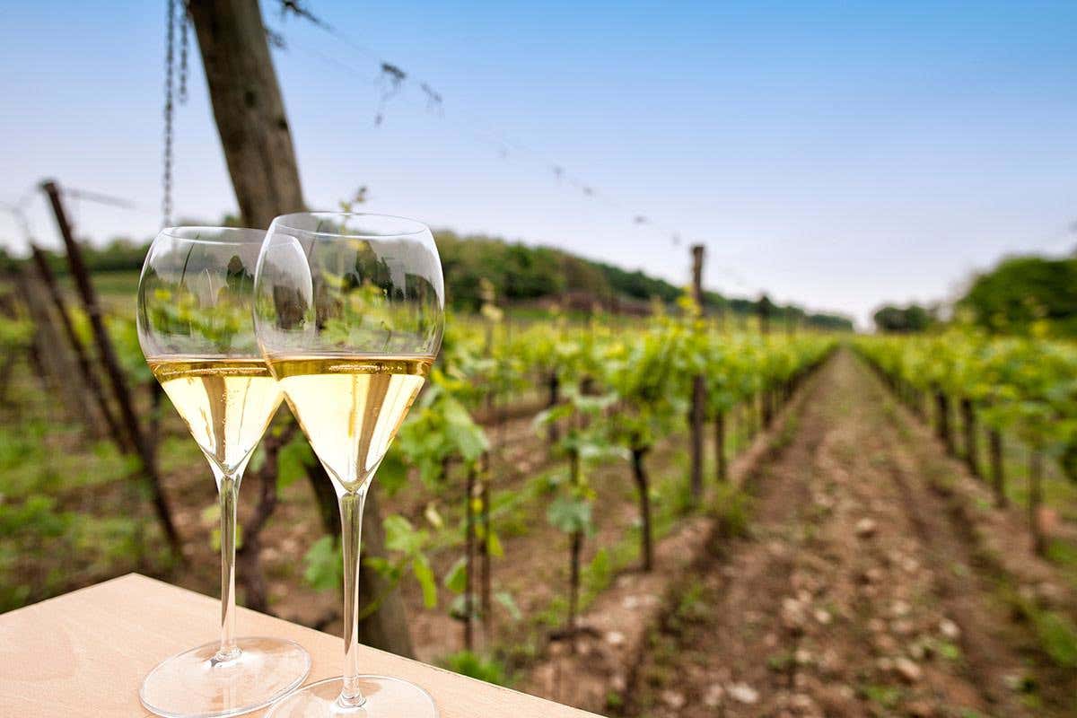 «Le bollicine italiane stanno bene»: intervista a Leo Damiani sullo stato dello spumante «Le bollicine italiane stanno bene»: intervista a Leo Damiani sullo stato dello spumante