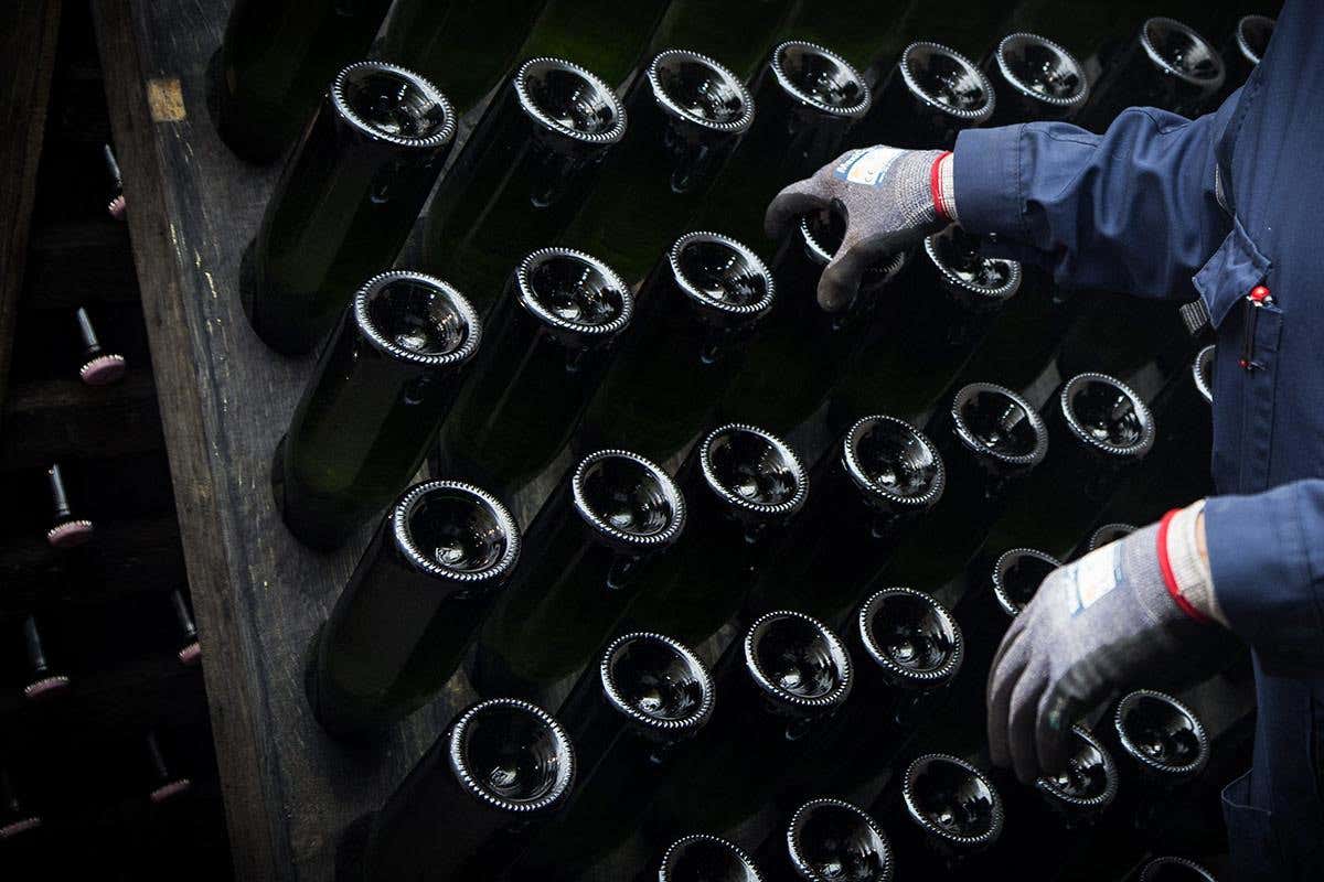 «Le bollicine italiane stanno bene»: intervista a Leo Damiani sullo stato dello spumante «Le bollicine italiane stanno bene»: intervista a Leo Damiani sullo stato dello spumante