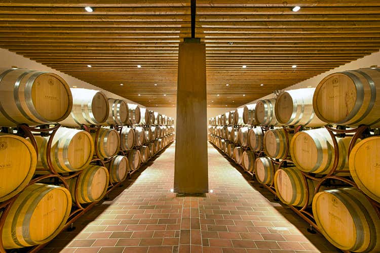 Fantini Group, crescita record Vola il fatturato 2020: 8% Fantini Group, crescita record Vola il fatturato 2020: 8%