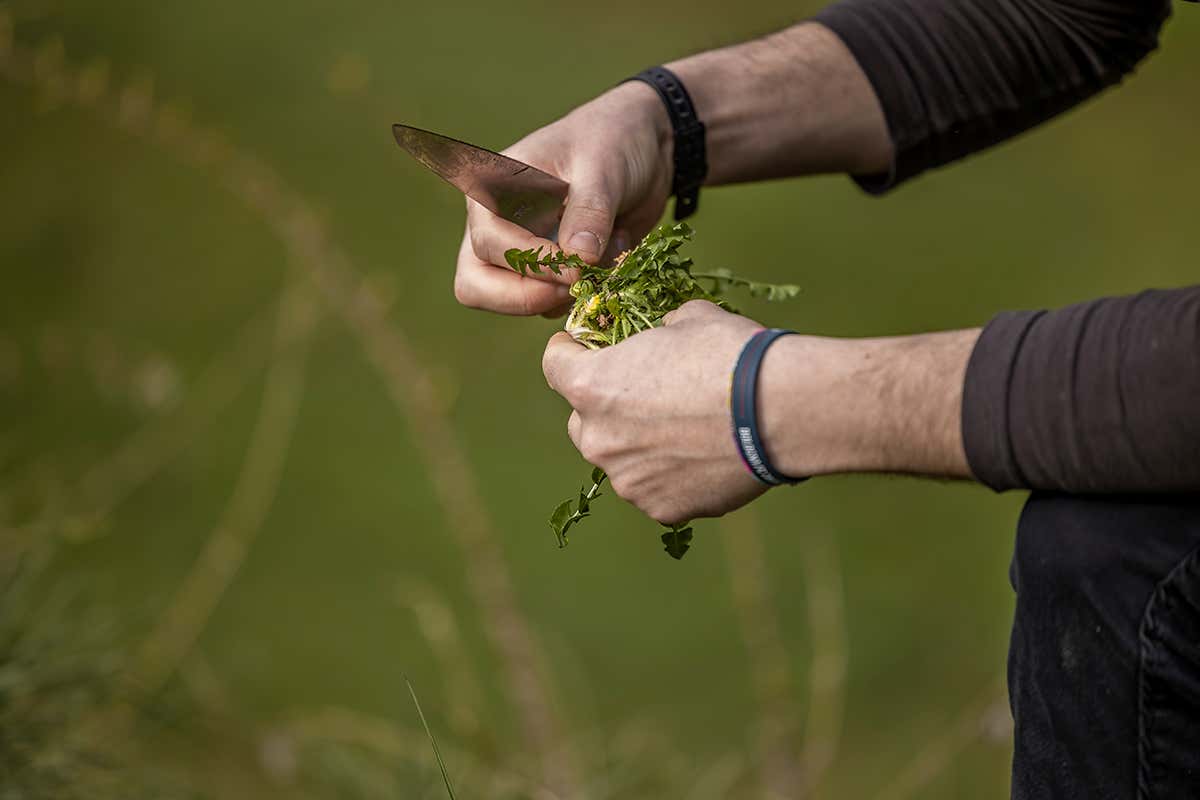 Gesti semplici che raccontano l’origine dei prodotti genuini e il legame diretto tra terra e tavola