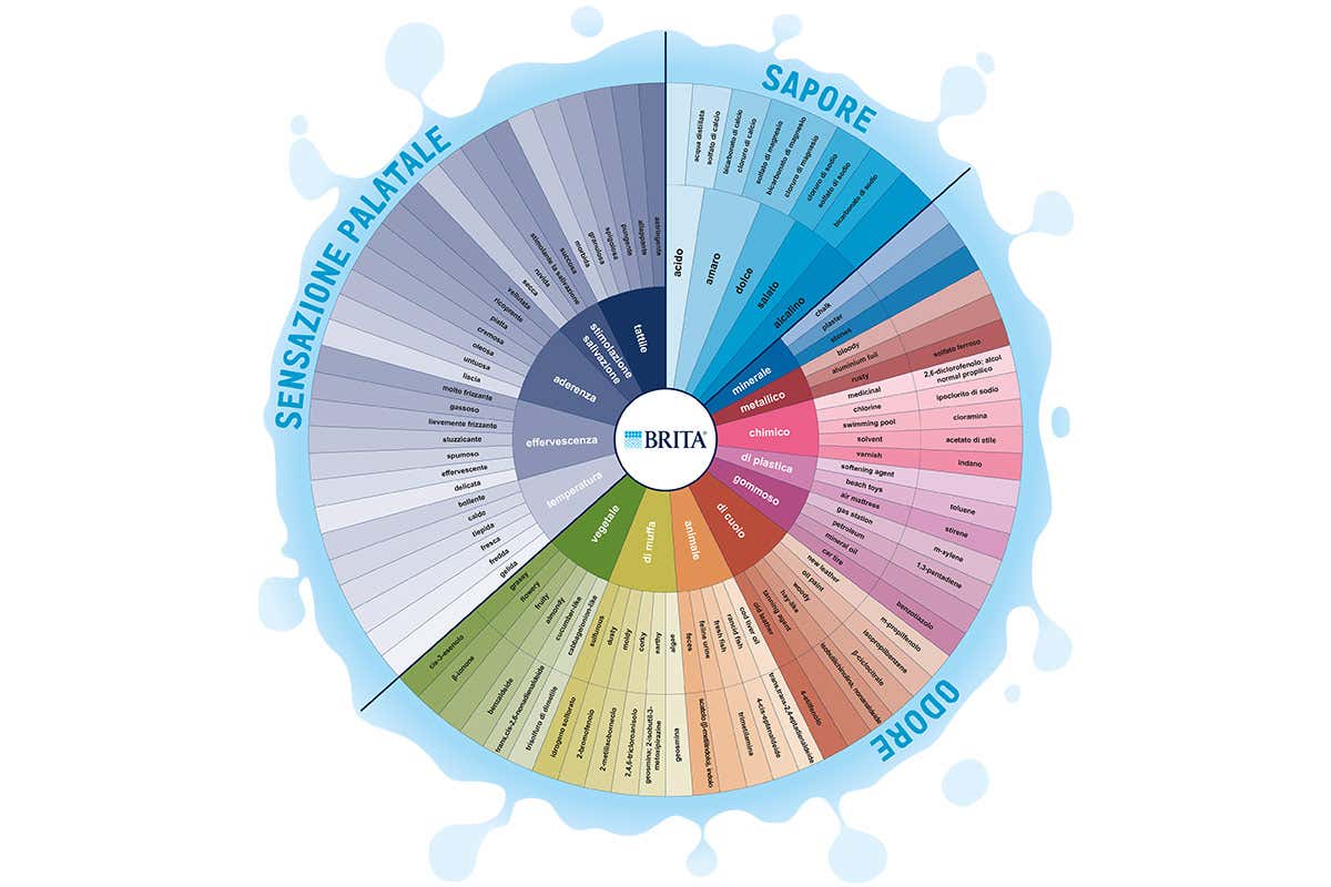 La ruota sensoriale di Brita Non tutte le acque sono uguali: ecco perch&eacute; filtrarle