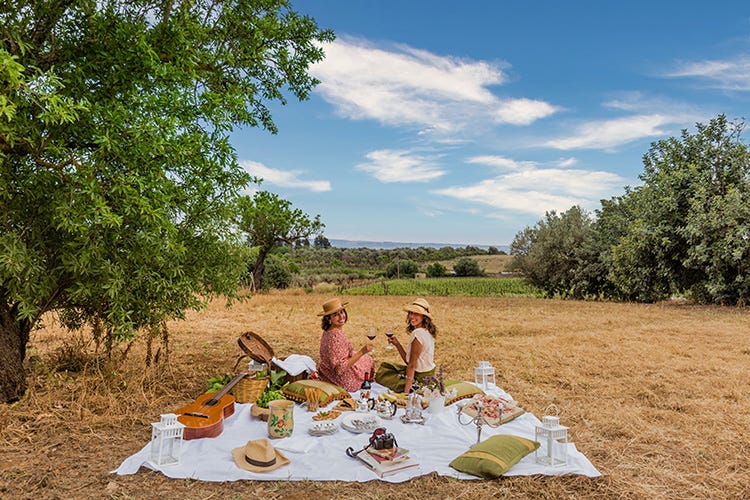 È tempo di pic-chic. Foto: Baglio Occhipinti Dove fare un picnic chic? Cinque ''prati'' imperdibili