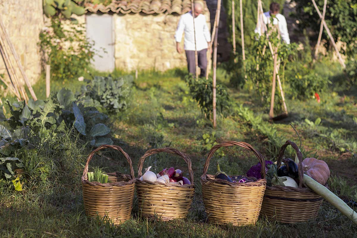 Baglio Occhipinti Cosa “cresce” al ristorante? I migliori locali italiani con l’orto