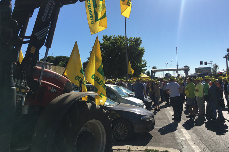 A Bari sbarca il grano canadese Agricoltori in rivolta prima del raccolto A Bari sbarca il grano canadese Agricoltori in rivolta prima del raccolto
