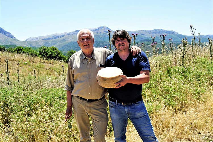 Pecorino dell'Alta Baronia - Prèsidi Slow Food Ecco tre pecorini dalla Sardegna Pecorino dell'Alta Baronia - Prèsidi Slow Food Ecco tre pecorini dalla Sardegna