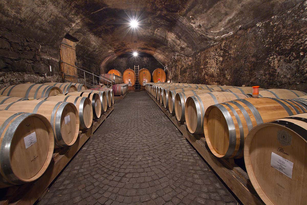 Il senso dell’accoglienza di Kettmeir 