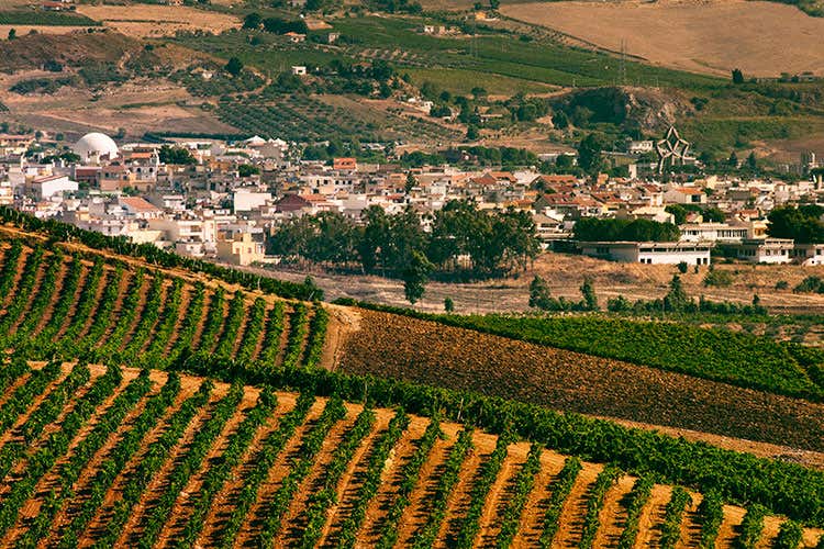 (Barriques Museum di Tenute Orestiadi Arte e vino si incontrano)