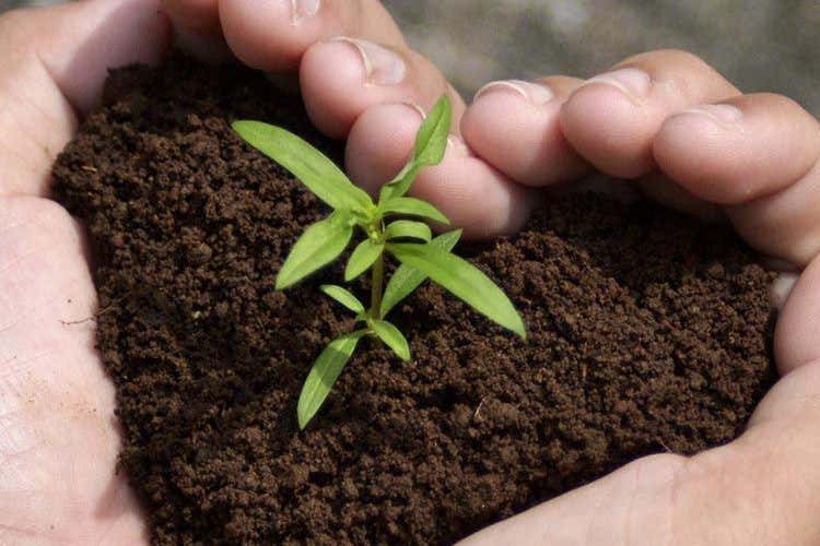 Basque Culinary World Prize  Al via le candidature per la 2&ordf; edizione