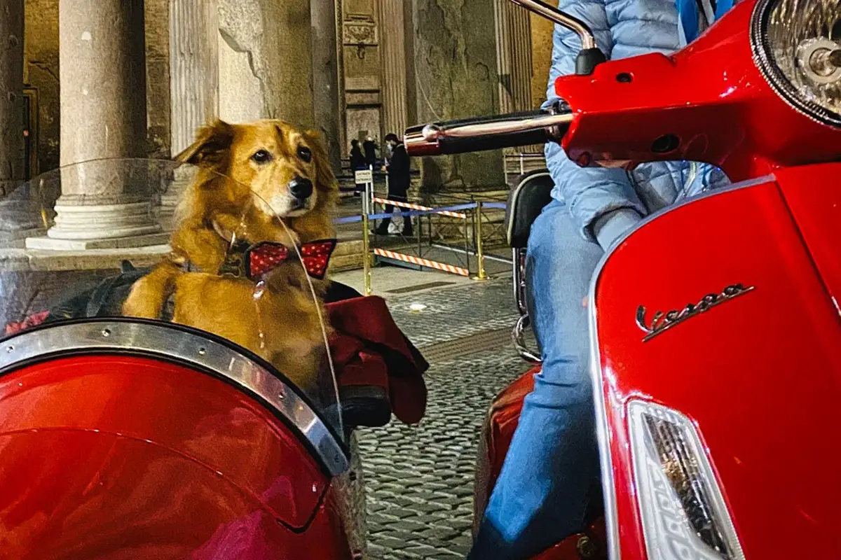 TripForDogs, Tour in vespa per Roma