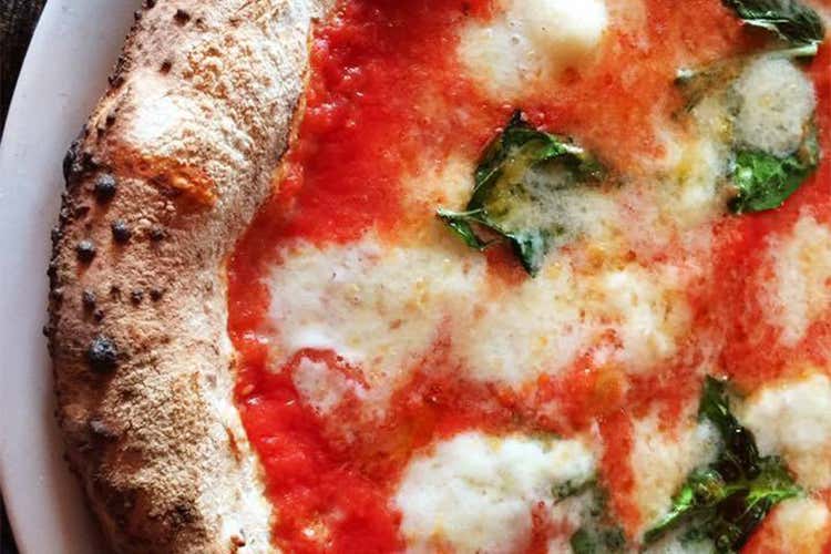 Pizza margherita