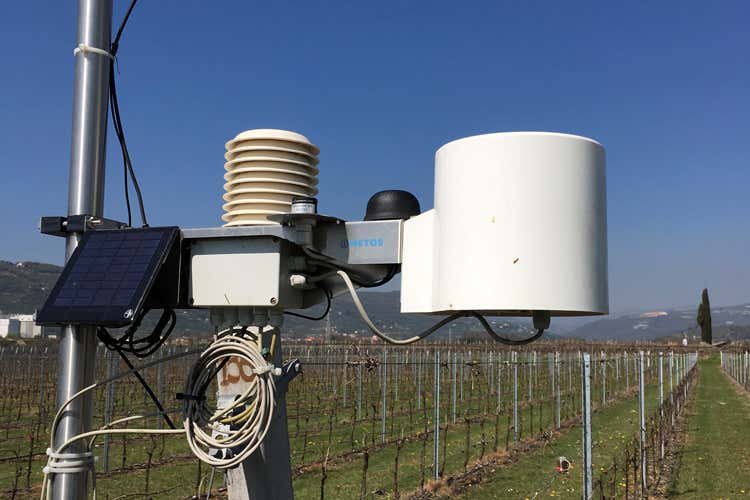 Bayer promuove lo sviluppo sostenibile ForwardFarming aiuta le aziende agricole