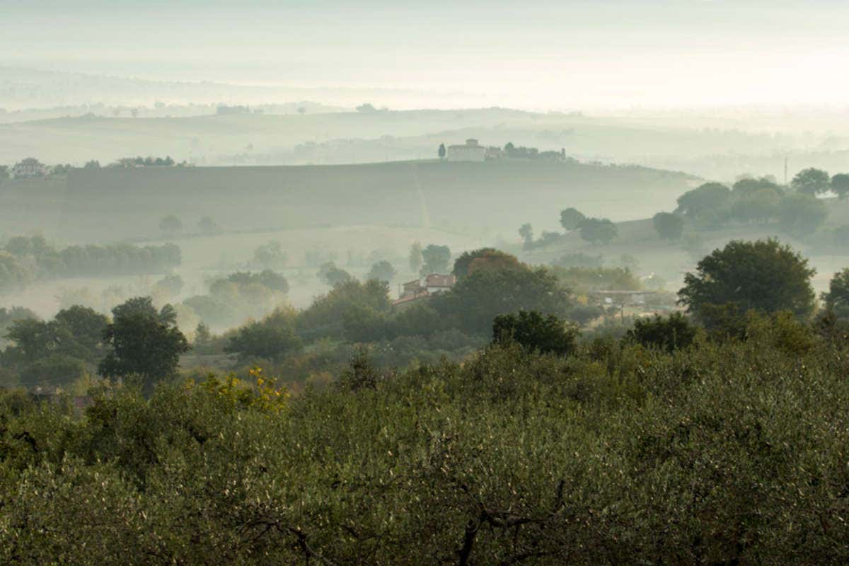 Farchioni 1780 &egrave; il primo oleificio certificato sostenibile