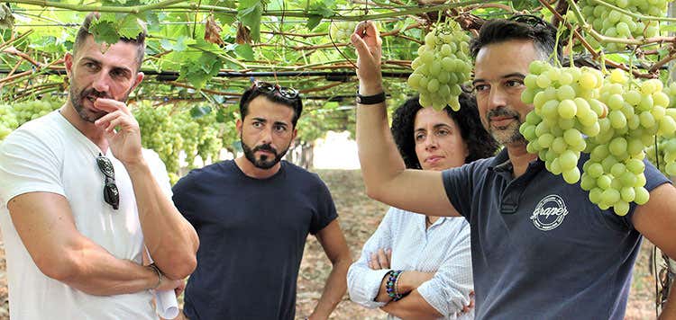 Lo staff di Bella Vigna (Bella Vigna, un premio per rilanciare l'economia dell'uva da tavola) Lo staff di Bella Vigna (Bella Vigna, un premio per rilanciare l'economia dell'uva da tavola)