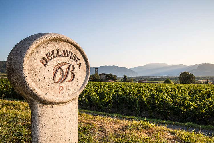 Bellavista mette in salvo la vendemmia grazie alla gestione innovativa delle vigne