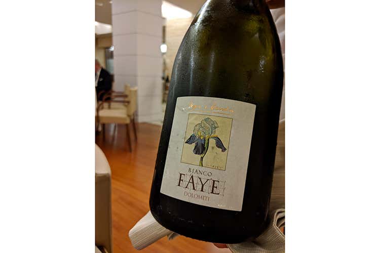 Bianco Faye 2004 Dolomiti Pojer e Sandri (Bianco Faye 2004 La provocazione di Pojer e Sandri)